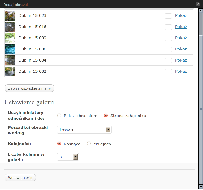 wordpress-opcje-galerii